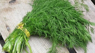 Pek çok pazarda satılan bu hoş kokulu sebze, kalp için değerli bir ilaçtır.