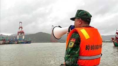 Pět provincií a měst v regionech Centrální a Střední vysočiny naléhavě reaguje na bouři č. 13