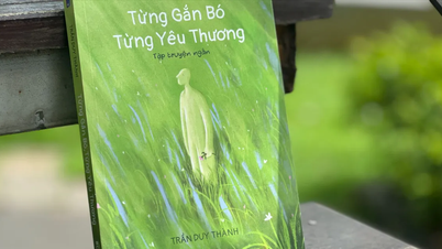 Những bông cúc dại kiên cường trong "Từng gắn bó, từng yêu thương"