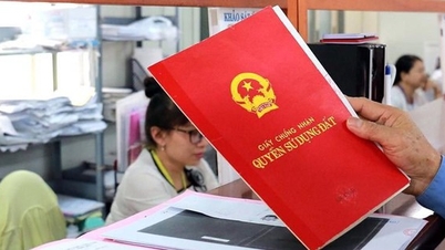 ¿Impuesto elevado a las personas que compran y venden bienes inmuebles con frecuencia para crear equidad?