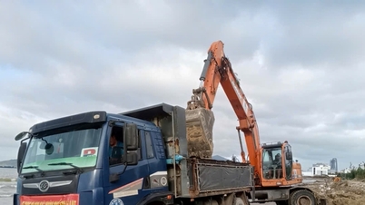 Mobiliser les forces et les moyens pour nettoyer et ramasser les ordures dans les zones résidentielles et sur les plages.
