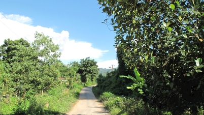 Xã Văn Lăng, Thái Nguyên: Khơi dậy sức dân, tạo đột phá phát triển bền vững