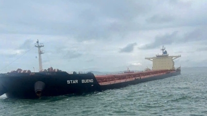 Lập Sở chỉ huy xử lý sự cố tàu chở quặng sắt mắc cạn tại vùng biển Dung Quất