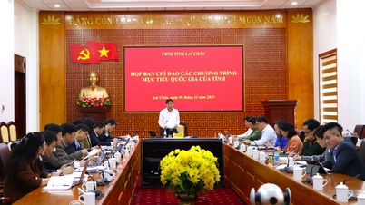 Chairman of the Provincial People's Committee Le Van Luong chaired a meeting of the Steering Committee for National Target Programs.
