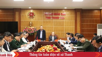 De werkgroep van het Ministerie van Landbouw en Milieu heeft samengewerkt met de provincie Thanh Hoa om IOO-visserij te bestrijden.