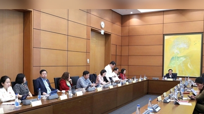 Förslag om att lägga till kontrollmekanism efter att investeraren granskat designen