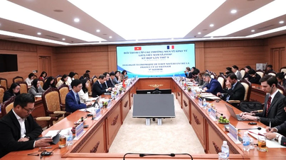 Vietnam és a Francia Köztársaság közötti érdemi együttműködés megerősítése számos területen