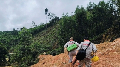 Viettel active le réseau d'intervention en cas de tempête n° 13 afin de garantir que les informations destinées au commandement des secours soient transmises à ce dernier.