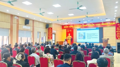 Фуонг Ліет Ворд поширює та поширює Закон про капітал