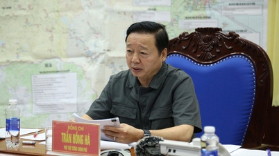 ឧបនាយករដ្ឋមន្ត្រី Tran Hong Ha បានបើកកិច្ចប្រជុំតាមប្រព័ន្ធអ៊ីនធឺណែតជាមួយខេត្ត ក្រុង ដើម្បីដាក់ពង្រាយការងារឆ្លើយតបទៅនឹងព្យុះលេខ ១៣។