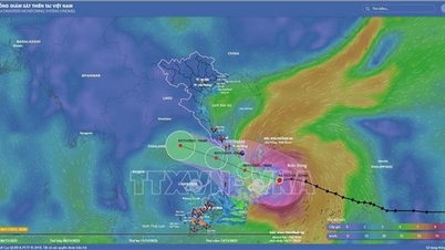 Bão số 13 tăng cấp hướng về đất liền từ Quảng Ngãi-Đắk Lắk