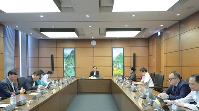 Специальные положения о механизме пост-аудита