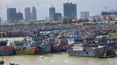 Da Nang: Bărcile se adăpostesc de urgență de furtuna nr. 13