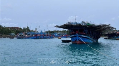 Люди та човни в морській акваторії Труонг Са перебувають у безпеці.