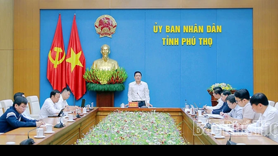 Místopředseda provinčního lidového výboru Vu Viet Van vyslechl zprávu o některých tématech týkajících se správy bydlení a územního plánování měst a venkova.