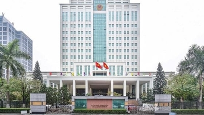 Міністерство сільського господарства та навколишнього середовища створило Керівний комітет для виконання Резолюції № 66-NQ/TW.