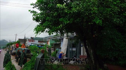 Militære styrker hjelper aktivt folk med å forhindre og bekjempe storm nr. 13