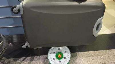 بار دستی اضافه وزن، خطوط هوایی بین‌المللی چگونه با آن برخورد می‌کنند؟