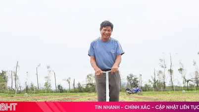 Rolnicy z Ha Tinh pozostają na polach, aby odbudować zimowe plony po ulewnych deszczach