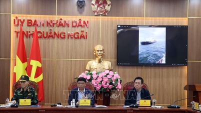 Gấp rút xây dựng phương án xử lý sự cố tàu Star Bueno mắc cạn tại Quảng Ngãi