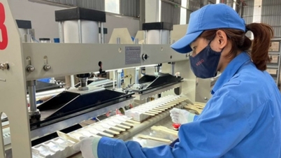 Gần 18 nghìn doanh nghiệp thành lập trong tháng 10, vốn FDI vào Việt Nam tăng cao