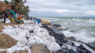 Прем'єр-міністр: Секретарі та голови партійних комітетів провінцій відкладають зустрічі, щоб зосередитися на боротьбі зі штормом № 13