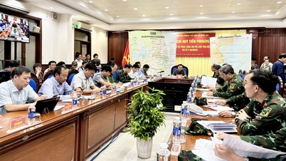 ឧបនាយករដ្ឋមន្ត្រី Tran Hong Ha បានជួបប្រជុំជាមួយខេត្ត ក្រុង ដើម្បីឆ្លើយតបនឹងព្យុះលេខ ១៣។