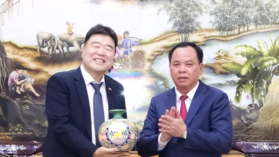 قادة مقاطعة دونج ناي يجتمعون ويستمعون إلى الصعوبات والتوصيات التي تقدمها الشركات الكورية