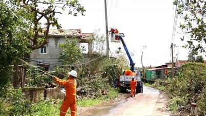 EVN নিরাপদ এবং স্থিতিশীল বিদ্যুৎ সরবরাহ নিশ্চিত করে