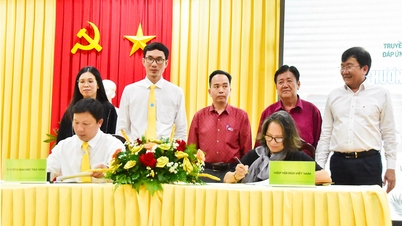 Diễn đàn về quản lý sức khỏe cây dừa