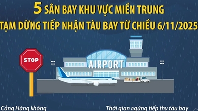 5 аэропортов Центрального региона временно прекращают прием самолетов со второй половины дня 6 ноября.