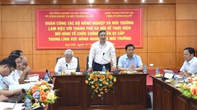 Fjerning av hindringer i landbruks- og miljøsektoren når man opererer med to nivåer av myndigheter