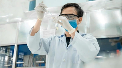 Verbetering van de universitaire kwaliteit, integratie in het mondiale onderwijs