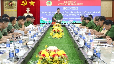 Améliorer les capacités des officiers et des soldats en matière de gestion des armes, des explosifs et de l'artillerie.