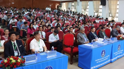 Mais de 500 cientistas compartilham informações sobre física do estado sólido e ciência dos materiais em Dak Lak.