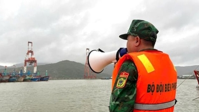 ১৩ নম্বর ঝড়ের প্রতিক্রিয়া জানাতে সেনাবাহিনী প্রায় ২,৭০,০০০ লোককে একত্রিত করেছিল।