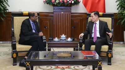 وزیر امور خارجه لی هوای ترونگ، جایا راتنام، سفیر سنگاپور را برای خداحافظی به حضور پذیرفت.