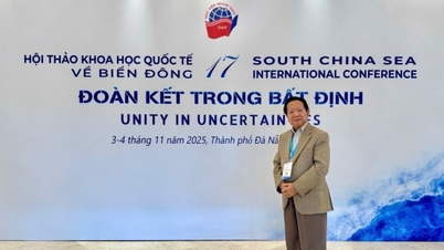 UNCLOS-কে কেবল একটি আইনি উত্তরাধিকার হিসেবেই নয়, আধুনিক সামুদ্রিক ব্যবস্থার জন্য একটি 'সংবিধান' হিসেবেও পরিণত করা