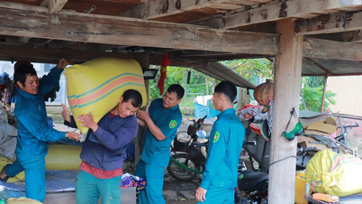 Gia Lai: Cán bộ cõng lúa giúp dân giữ lương thực sau bão
