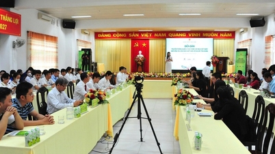 فينه لونغ: بناء "عاصمة جوز الهند" عالية القيمة، والتكيف مع تغير المناخ