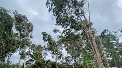 আপনার ফোনে সরাসরি ১৩ নম্বর ঝড় কালমায়েগি ট্র্যাক করার সহজ উপায়