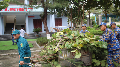 אזור כלכלי מיוחד בטרואנג סה לאחר סופה מספר 13: אין נזק לאנשים ולרכוש