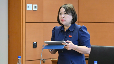 จำเป็นต้องลงโทษการละเมิดทรัพย์สินทางปัญญาในสภาพแวดล้อมออนไลน์