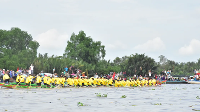 Ngo Boat Race i An Giang-provinsen 2025 avslutades med spännande tävlingar.
