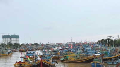 A Lam Dong part menti települések proaktívan reagálnak a 13-as viharra