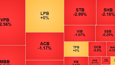 Na sessão 6-11, o VN-Index perdeu a marca de 1.650 pontos.