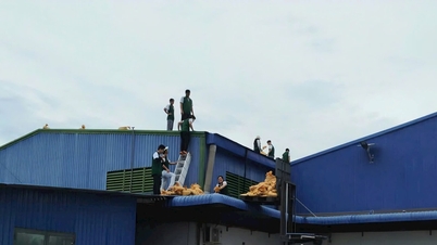 شرکت‌های مستقر در شهرک‌های صنعتی به طور پیشگیرانه به طوفان کالماگی واکنش نشان می‌دهند