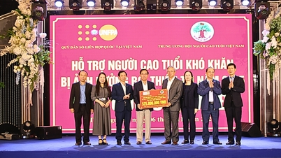 حمایت ۵۲۵ میلیون دونگ ویتنامی برای کمک به سالمندان در غلبه بر مشکلات ناشی از بلایای طبیعی