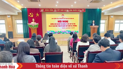 راهنمایی در مورد مدیریت حرفه‌ای صندوق‌های اجتماعی جبهه میهن