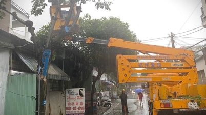 بخش بون ما توت درختان را هرس می‌کند تا در طول فصل بارانی و طوفانی ایمنی را تضمین کند.